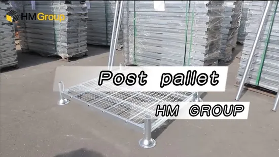 High Quality Mobile Stacking Cold Storage Steel Pipe Pallet Rack Manurack